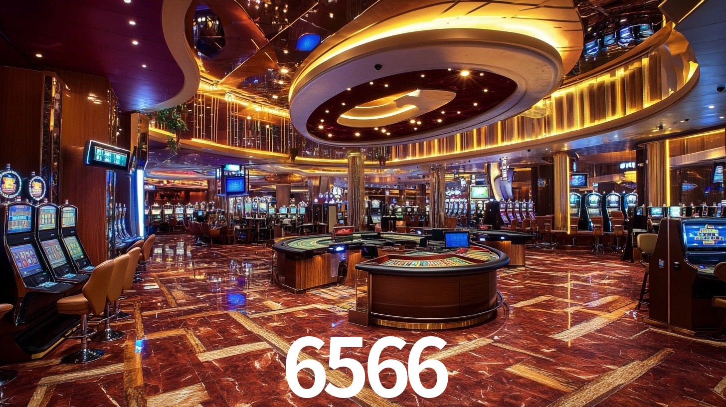 Premium Interface 6566
