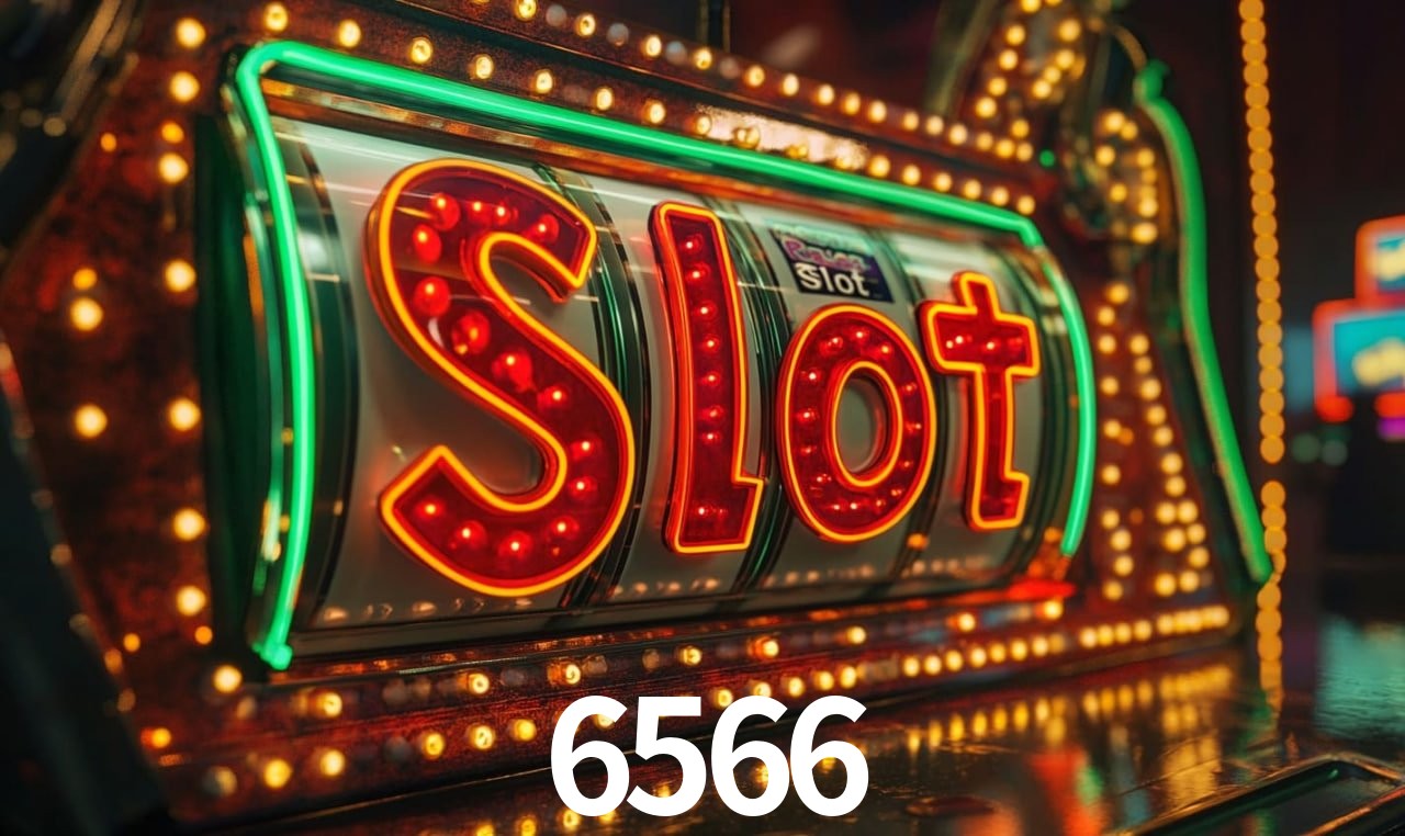 Sistemas de Segurança 6566