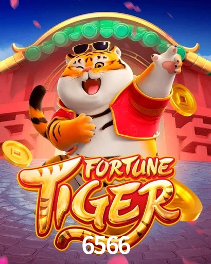 6566
