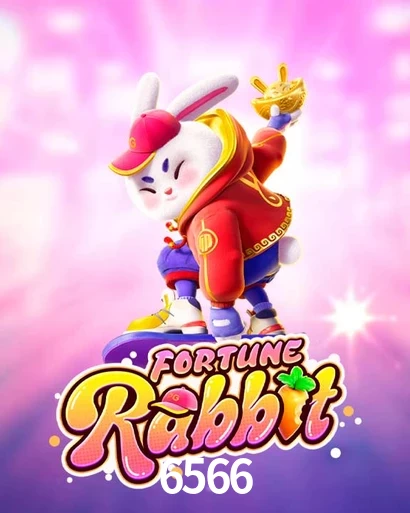 6566